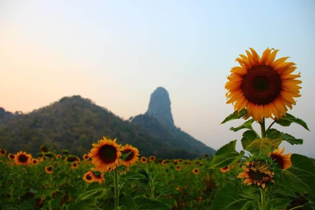 Pee Homestay Lopburi Ban Tha Krayang Exterior photo
