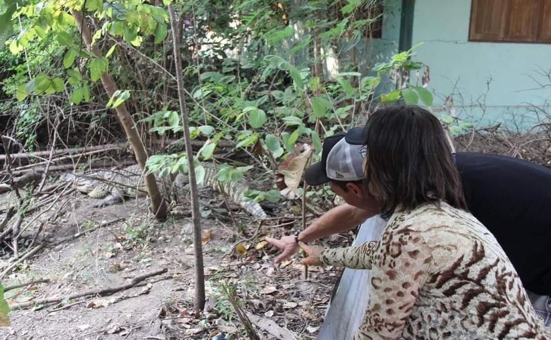 Pee Homestay Lopburi Ban Tha Krayang Exterior photo